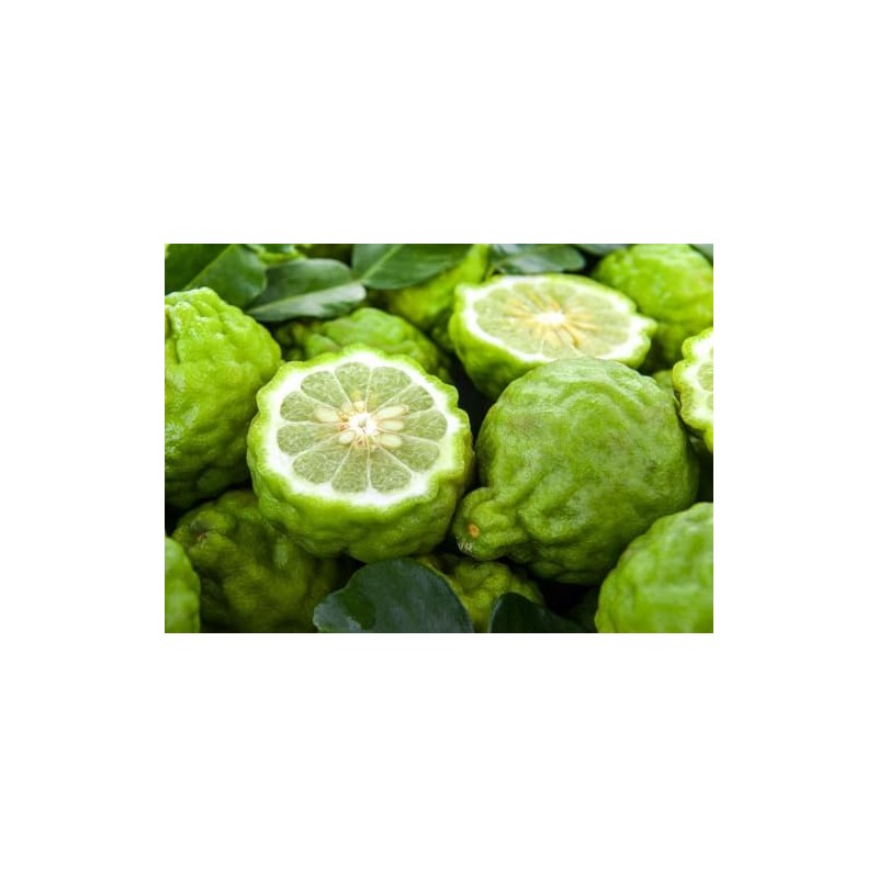 Aceite de bergamota Formue 50 ml