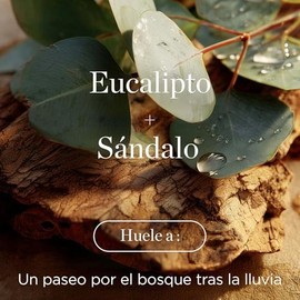 Raw Sugar Body Wash Eucalyptus Sandalwood Boost Gel Baño Hidratante Nutre Revitaliza Equilibra
