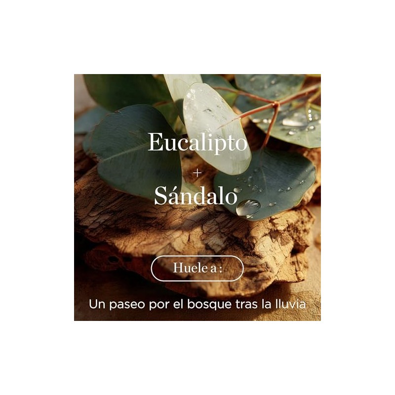 Raw Sugar Body Wash Eucalyptus Sandalwood Boost Gel Baño Hidratante