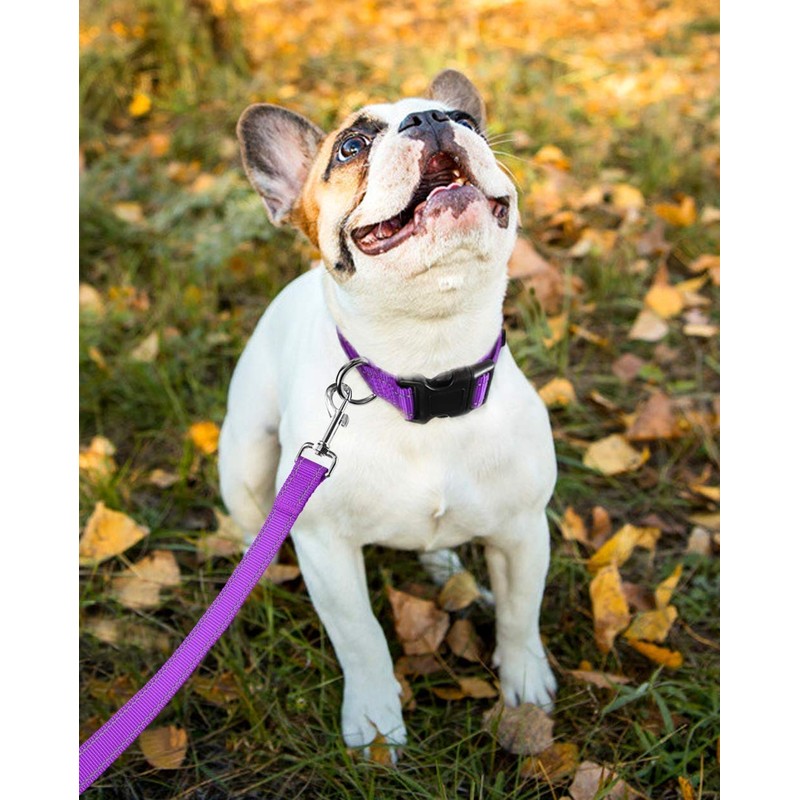 Reflective Dog Collar with Buckle Adjustable Safety Nylon Collars for