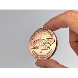 Katy Craig Katy Craig 10 x 1oz Copper Rounds Megalodon Shark 999 Fine Bullion Supplied in Tub