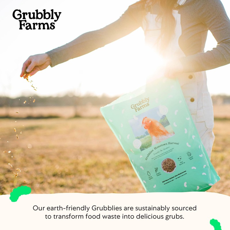 Grubblies - Black Soldier Fly Larvae for Chickens - Chicken