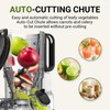 AMZCHEF Juicer Machines, 5.3" Extra Self-Feeding Cold Press Juicer for