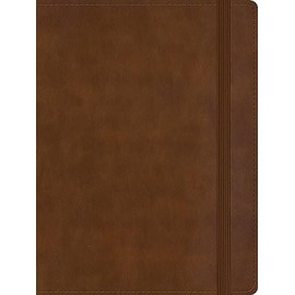 RVR 1960 Biblia de apuntes tamaño personal, café, símil piel / RVR 1960 Personal size Note taking Bible Brown LeatherTouch (Spanish Edition)