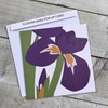 IRIS POP-UP Card