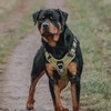 BullyBillows Hurricane Harness | Non-Restrictive Dog Harness | Made With