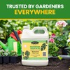 EZ-GRO Epsom Salt for Gardening, 32 oz (Quart) - Professional