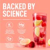 Keppi Keto Electrolytes Powder No Sugar - Sugar Free Electrolytes