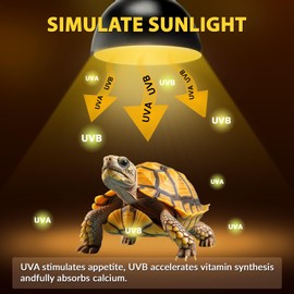 25W UVA + UVB Reptile Light Bulb, Dimmable Heat Lamp Bulbs for Reptiles and Amphibians, Reptile Basking Bulb for Tortoise, Bearded Dragon, Lizard, Snake, Fit E26 Heat Reptile Lamp, 4 Pack