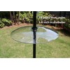 13 1/2 Inch Clear Glass Two-Way Squirrel Baffle and Weather