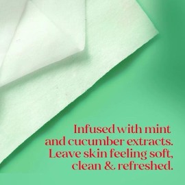 Burt's Bees Cucumber & Mint Facial Wipes Refreshing Makeup Remover 3 Pack 30cnt