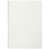 Maruman N477-39 Cocochi B5 Ring Notebook, Light Orange, Set of
