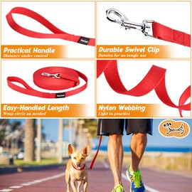 Dog Training Long Leash, 33ft Nylon Webbing Long Line Rope Lead for Dog Horse Pet Training Recall Obedience Camping Backyard Red