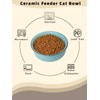 GDCZ Ceramics Raised Cat Bowls with Heighten Metal Stand,15 Ounces