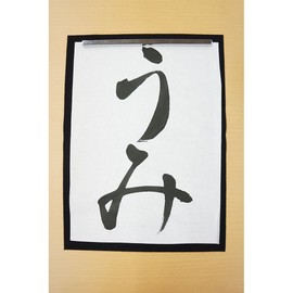 呉竹 書道液 洗って落ちる書道液 練習用 BA14-18 180ml ブラック