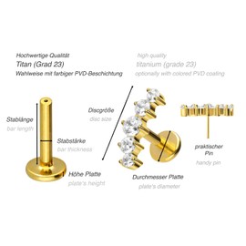 PIERCINGLINE Titanium Labret with Push Fit 5 Crystal Piercing Ear Helix Tragus Conch Choice of Colours and Sizes, Titanium