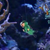 Sosoport Decorative Aquarium Set Fish Tank Diver Ornament Floating Diver
