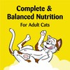 TEMPTATIONS Classic Crunchy and Soft Cat Treats Shrimpy Shrimp Flavor,