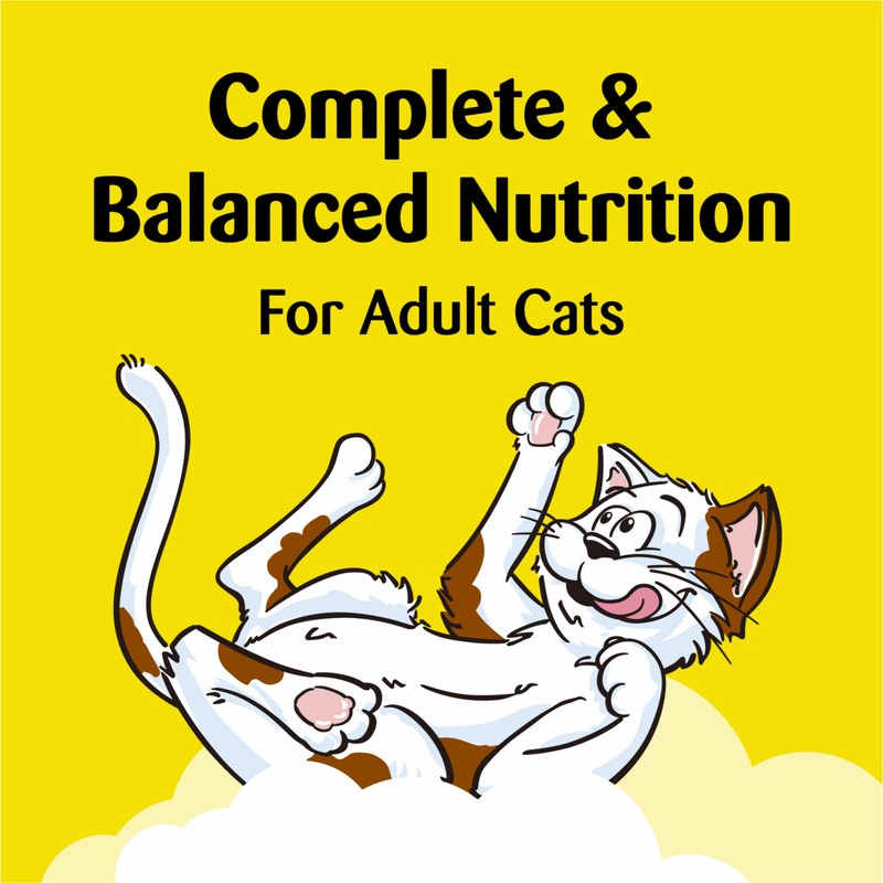 TEMPTATIONS Classic Crunchy and Soft Cat Treats Shrimpy Shrimp Flavor,
