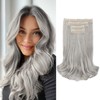 REECHO Clip in Hair Extensions, 4PCS Lace Weft Hair Extensions 14" Short Wavy Hair Extensions Invisible Hair Extensions Clip Ins Natural Soft Hairpieces for Women, Silver Grey