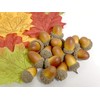 Fake Acorn Set of 50 Artificial Resin Autumn Simulation Simulation