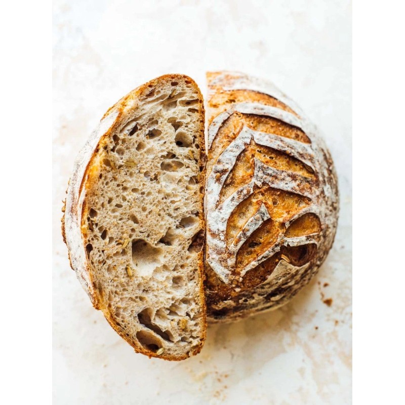 Heritage Sourdough Sourdough Starter Dehydrated Active San Francisco 100+ Yrs