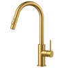 FORIOUS Gold Kitchen Faucet with Pull Down Sprayer, Brushed Brass