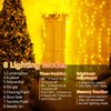 MAGGIFT Christmas Curtain Lights Indoor Outdoor, 252LED 2mx2m Window Fairy