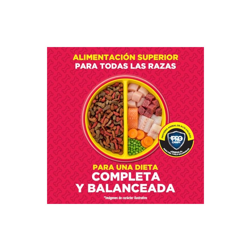 CAMPI Fidus Pro Comida para Perro Adulto Razas Pequeñas Alto
