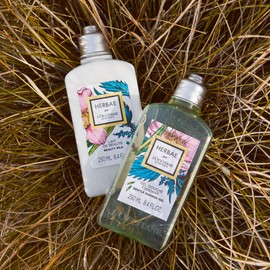 L'OCCITANE Herbae Shower Gel 250 ml