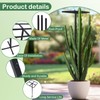 2 Pcs Dragon Fruit Trellis, Dragon Fruit Plant Trellis, 47.5