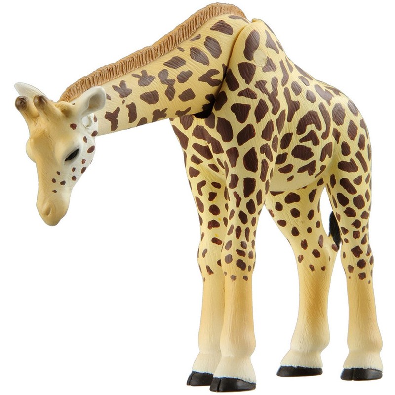 Ania Ag-01 Savannah Popular Animal Set