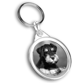 Destination Vinyl ltd 1 x Photo Keyring - Miniature Schnauzer Dog Puppy |Keychain|Keyring|Charm| #36467