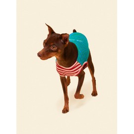 Little Beast Dog Clothes - Pet Clothes for Large, Medium, and Small Dogs (Dog Shirts Come in Multiple Colors and Styles) - Size: X-Large Dogs, Green/Blue