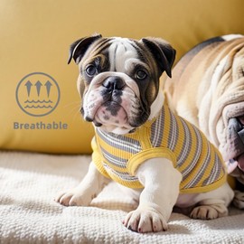 JcDuDoi Small Dog T-Shirt,Light Weight Stretchy Striped Dog Clothes,Breathable Soft Sleeveless Pet Costume for Girl Boy Puppy, Chihuahua Yorkie Pet Pullover Outfit Cat Vest (Yellow, X-Small)