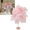 Decorative Table Lamp 30PCS Feathers USB Rechargeable Light Touch Control