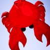 In the Breeze 5230 — Crab Big Breeze Windsock™ —