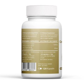 Cordyceps Sinensis CS-4 Capsules (120 x 500 mg) Mushroom Capsules with 20% Valuable Pure Ingredients, No Additives, 100% Vegan