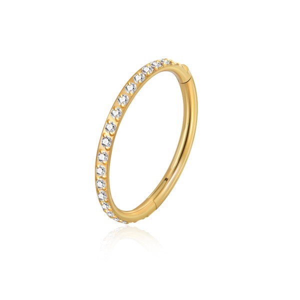 Gold 20G 8mm Nose Rings Hoop G23 Titanium Hinged Segment