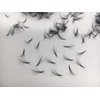 500 Fans | Wispy Promade Fans for Eyelash Extensions |