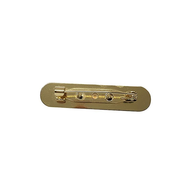 Capricornone Dinner Monitor Blue Gel Domed School Bar Badge