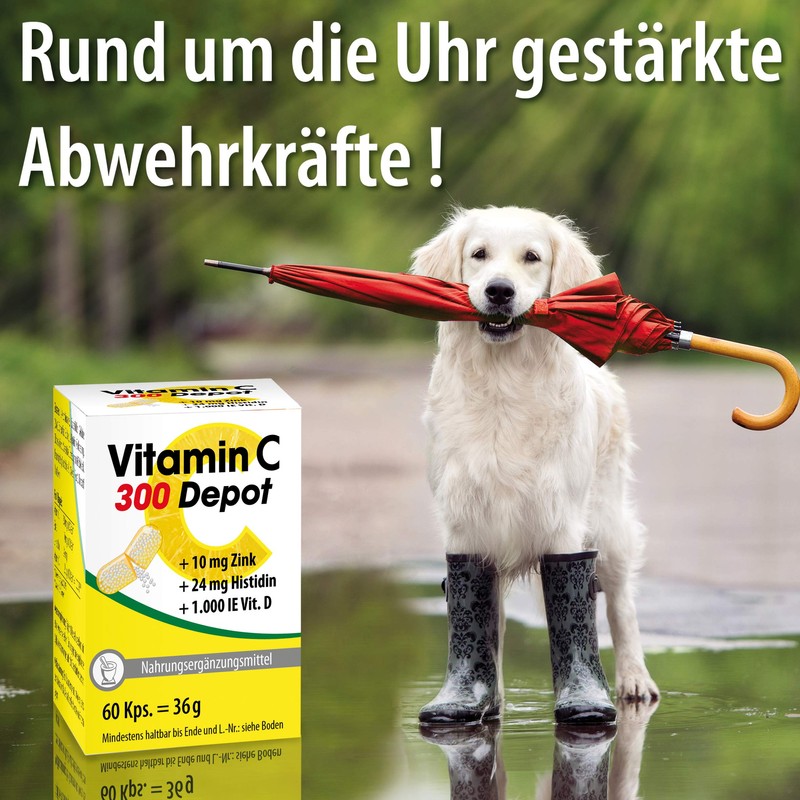 Vitamin C 300 Depot + Zinc + Histidine + Vitamin