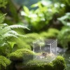 Acrylic Terrarium (10 cm x 10 cm x 10 cm),