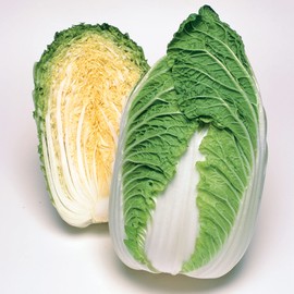 Chinese Cabbage Seeds - Spring Crisp - Hybrid - 500 Mg Packet ~207 Seeds - Non-GMO, F1 Hybrid - Asian Garden Vegetable