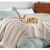 100% Egyptian Cotton Waffle Weave Blanket Full Size for Bed,