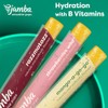 Jamba Smoothie Pops Variety Pack, 16 Count – 100% Fruit