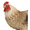 Rustic Western Country Farm Light Brown Chicken Hen Figurine 4.5"
