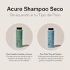 Acure | Shampoo seco en polvo para cabello castaño a