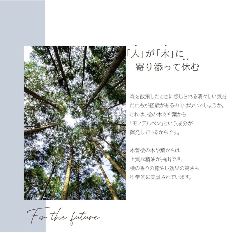 Hand Cream Meat Tree (Kuromoji) 1.0 fl oz (30 ml)