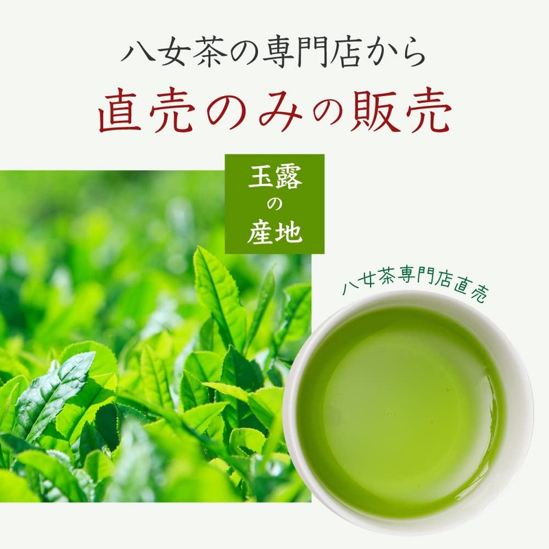 YaME-CHA 2024 New Tea Sencha Green Tea 3.5 oz (100